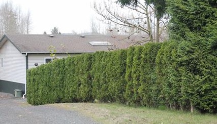 Featured House Update